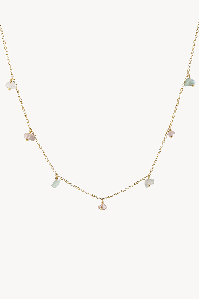 Collar multi chips